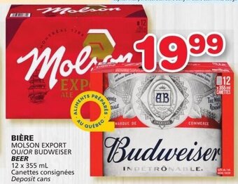 IGA Molson Export or Budweiser Beer 12 x 355 ml offer