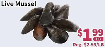 Blue Sky Supermarket Live Mussel offer
