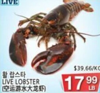H-Mart Live Lobster offer