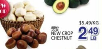 New Crop Chestnut