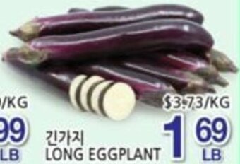 Long Eggplant