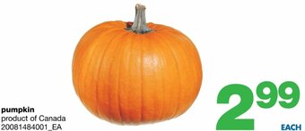 Wholesale Club Pumpkin offer