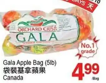 T&T Supermarket Gala Apple Bag (5lb) offer