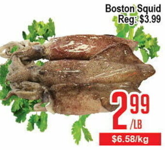 Boston Squid