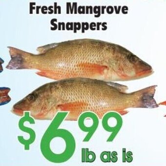 Danforth Food Market Fresh Mangrove Snappers offer