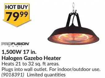 Princess Auto Profusion 1,500w 17 in. halogen gazebo heater offer