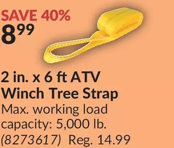 Princess Auto 2 in. x 6 ft atv winch tree strap offer