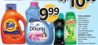Brunet Tide, Downy Detergents and Softeners, Downy, Gain Laundry Scent Boosters 422 g offer