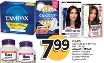 Brunet Clairol Hair Coloring, Always, Tampax Feminine Hygiene Products offer