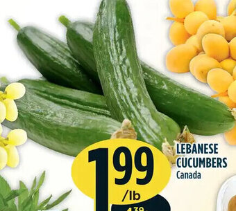 Marché Adonis Lebanese Cucumbers offer