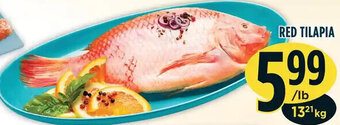 Marché Adonis Red Tilapia offer