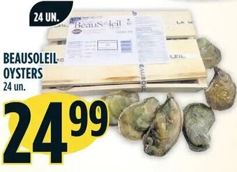Marché Adonis Beausoleil Oysters offer