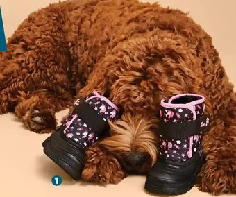 Giant Tiger Kids winter boots offer