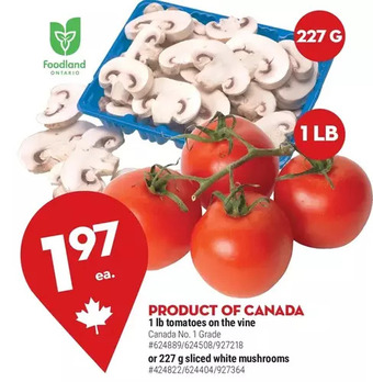 Giant Tiger 1 lb tomatoes on the vine offer
