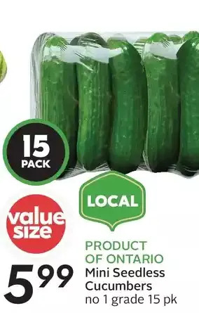 Sobeys Mini seedless cucumbers offer