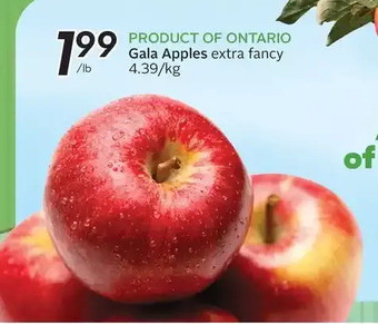 Sobeys Gala apples offer
