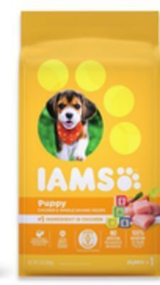 Walmart Iams dry food for small dogs offer
