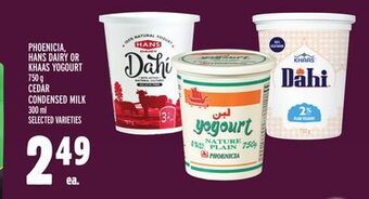 Metro Phoenicia, hans dairy or khaas yogourt offer