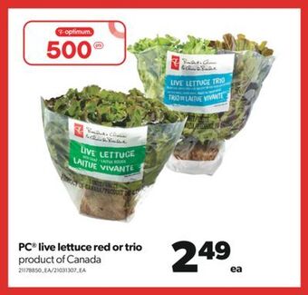 Real Canadian Superstore Pc® live lettuce red or trio offer