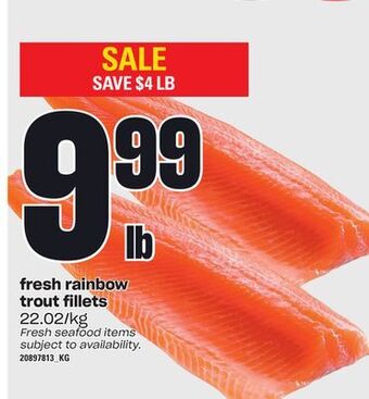 Loblaws Fresh rainbow trout fillets offer