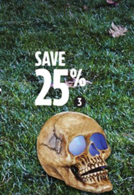 Canadian Tire 10˝ light skull/spiderweb projection offer