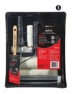 Canadian Tire Premier paint selected paint sets. offer