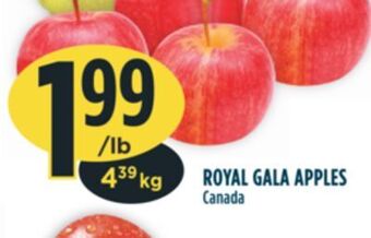 Marché Adonis Royal gala apples offer