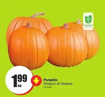 FreshCo Pumpkin product of ontario offer