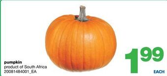 Wholesale Club Pumpkin offer