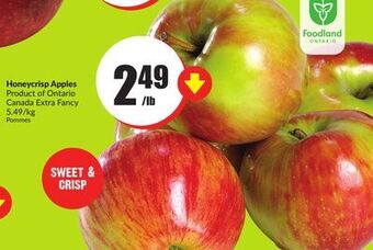Chalo FreshCo Honeycrisp apples product of ontario canada extra fancy 5.49/kg offer