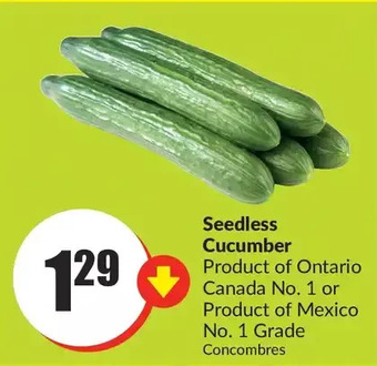 FreshCo Seedless cucumber offer