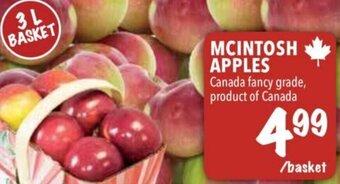 Farm Boy Mcintosh Apples offer