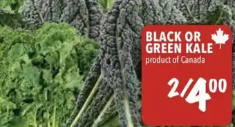 Farm Boy Black Or Green Kale offer