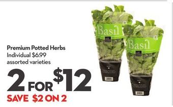 Longo's Premium potted herbs offer