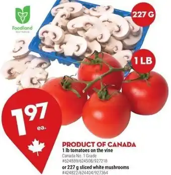Giant Tiger 21 lb Tomatoes on the Vine or 227 g Sliced White Mushrooms offer