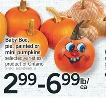 Fortinos Baby Boo, Pie , Painted Or Mini Pumpkins offer