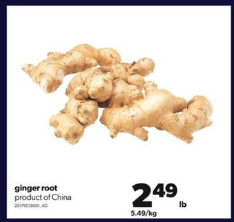 Real Canadian Superstore Ginger root offer