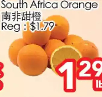 Superking Supermarket South africa orange offer