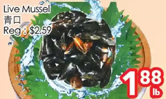 Superking Supermarket Live mussel offer