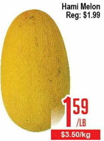 Hami Melon