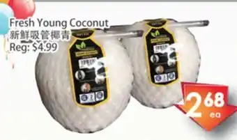 Fresh Palace Supermarket Fresh young coconut offer