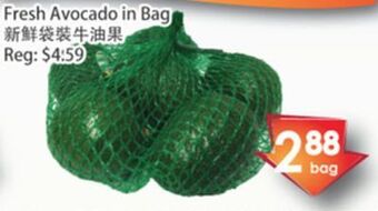 Fresh Palace Supermarket Fresh avocado in bag offer