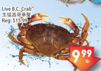 Fresh Palace Supermarket Live b.c. crab offer