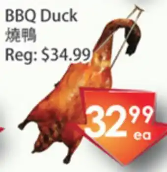 Bbq duck