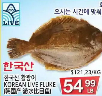 H-Mart Korean live fluke offer