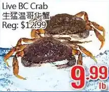 Hong Tai Supermarket Live bc crab offer