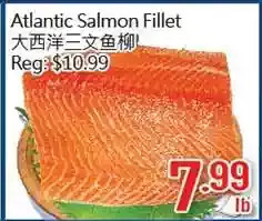 Atlantic salmon fillet