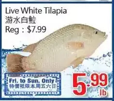 Hong Tai Supermarket Live white tilapia offer
