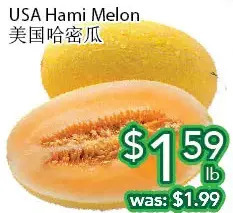 Ample Food Market Usa hami melon offer