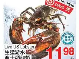 T&T Supermarket Live us lobster offer